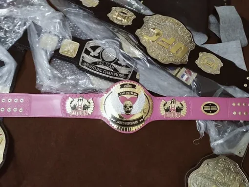 Bret Hart The Hitman Heavyweight Championship Belt