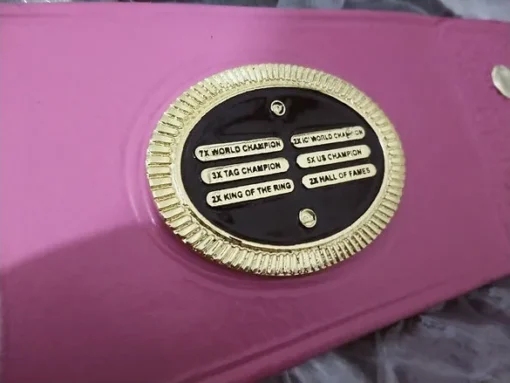 Bret Hart The Hitman Heavyweight Championship Belt