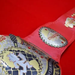 JCW World Juggalo Championship Belt
