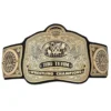 WWE Tag Team Classic Championship Title Belt